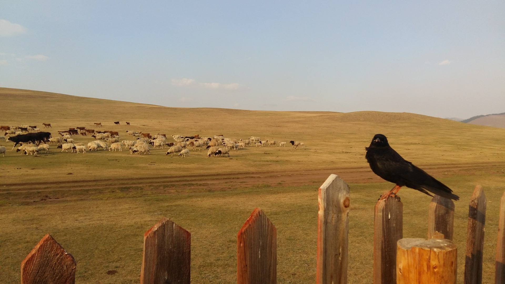 Mongolia, 2017